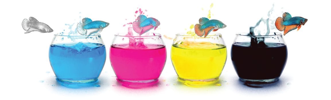 Fish jumping in CMYK colored fish bowls.