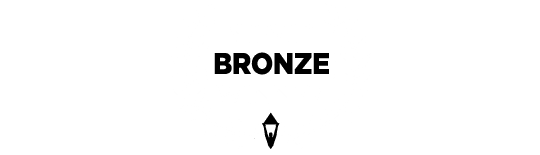 Stevie bronze winner award logo.