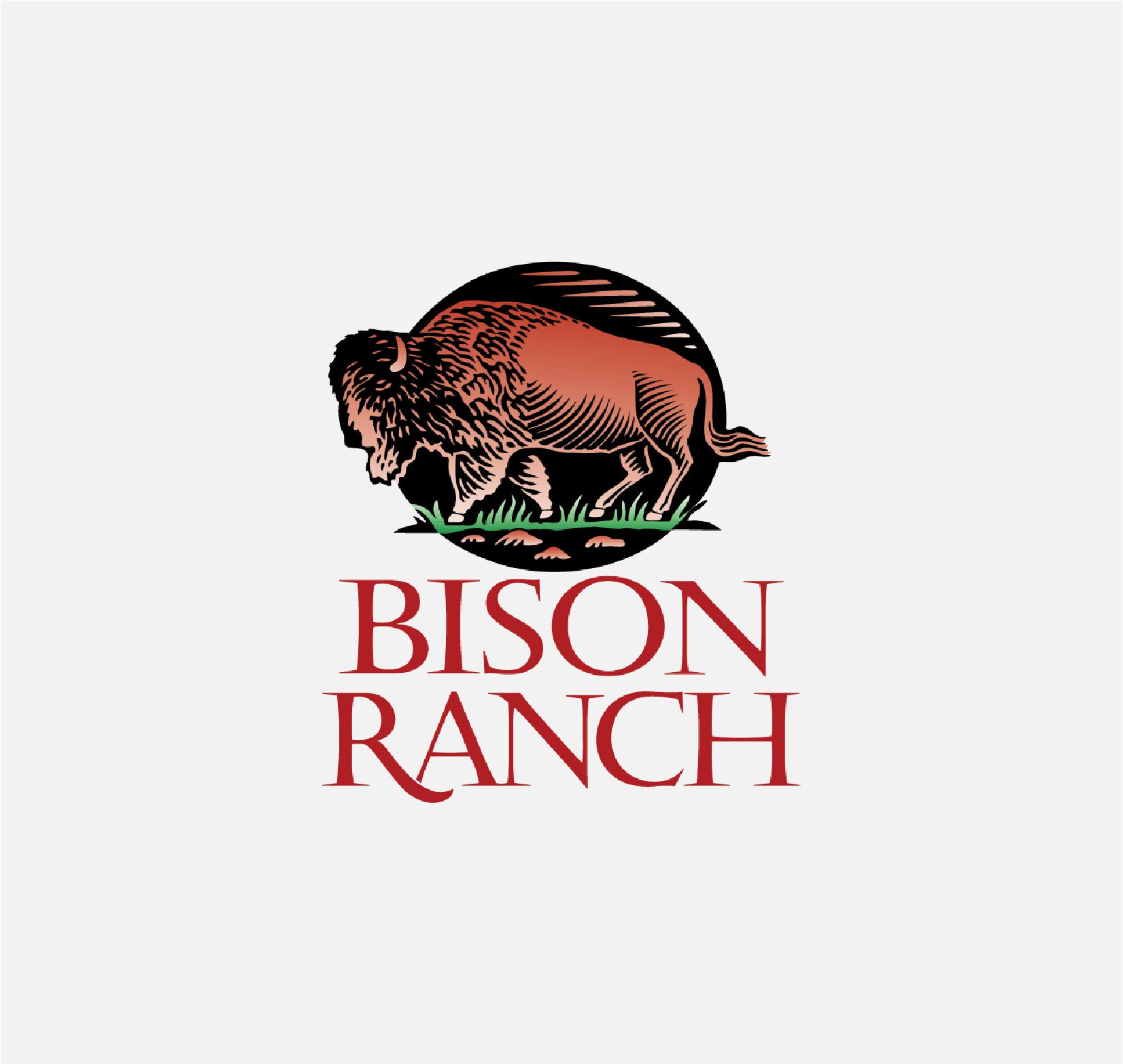 Bison Ranch logo