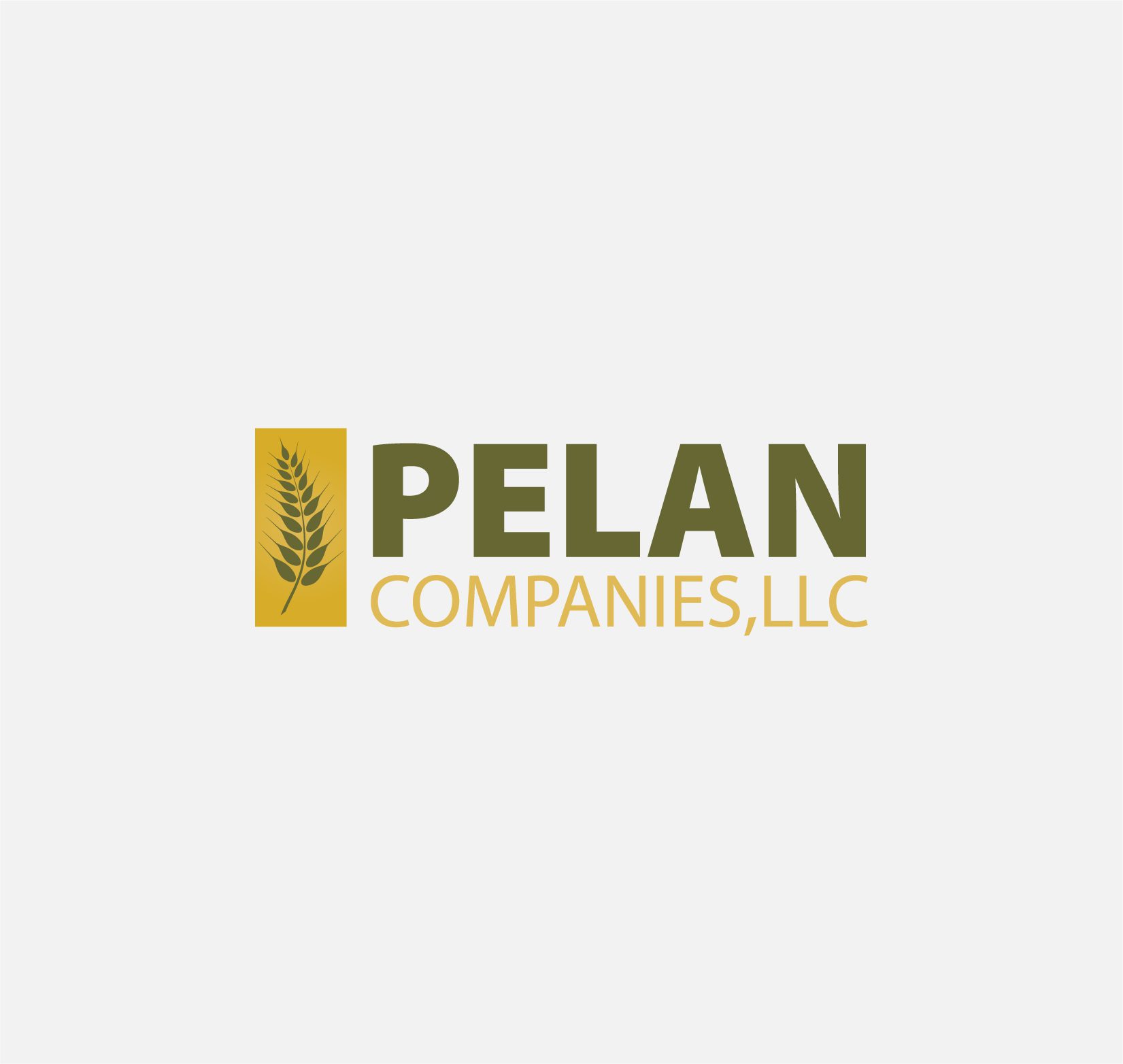 Pelan Companies, LLC logo